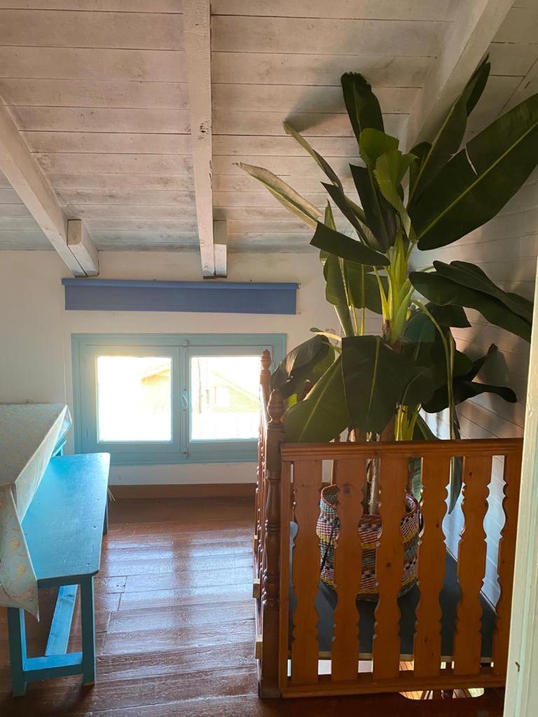 Madera Y Mar Apartamento Isla Plana Exterior foto